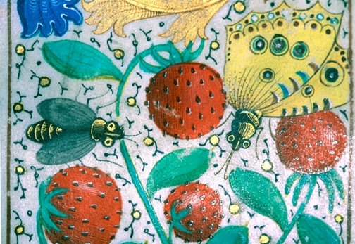 Abeille et papillon. Graduel de Saint-Dié. Médiathèque Victor Hugo - Saint-Dié