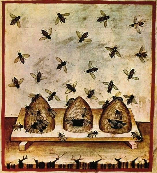 Abeilles et ruches Tacuinum Sanitaris, ouvrage médical du moyen âge, tiré du Taqwin al‑sihha 