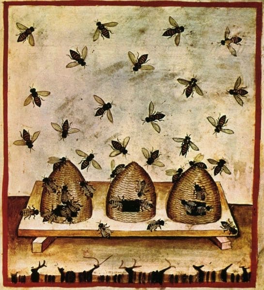 Abeilles et ruches Tacuinum Sanitaris, ouvrage médical du moyen âge, tiré du Taqwin al‑sihha