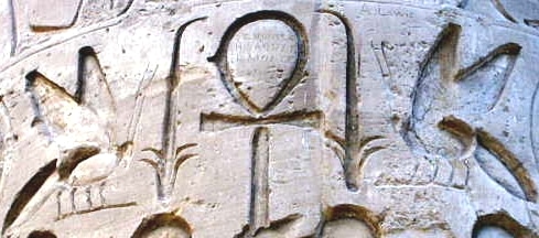 L'abeille et le roseau, symboles de la Basse et de la Haute Egypte. Temple de Karnak.