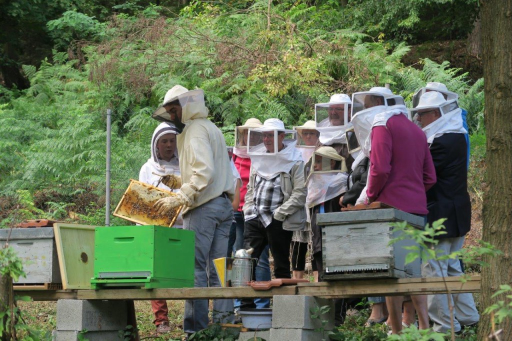 Animation sur les abeilles et le miel. 13 septembre 2015