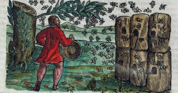 Ruches et abeilles. Illustration du 16e siècle