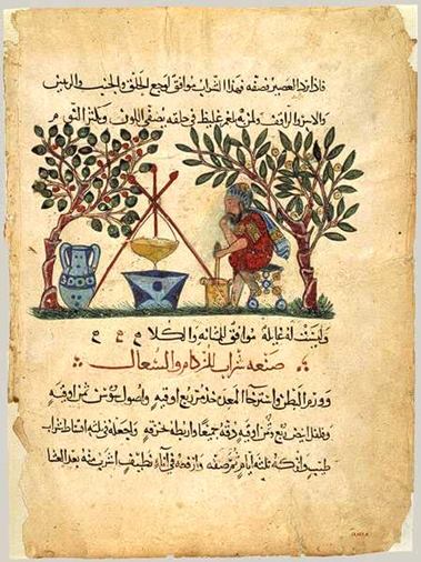 Illustration de la traduction arabe du texte de Dioscorides. Ecole de Bagdad, 1224.