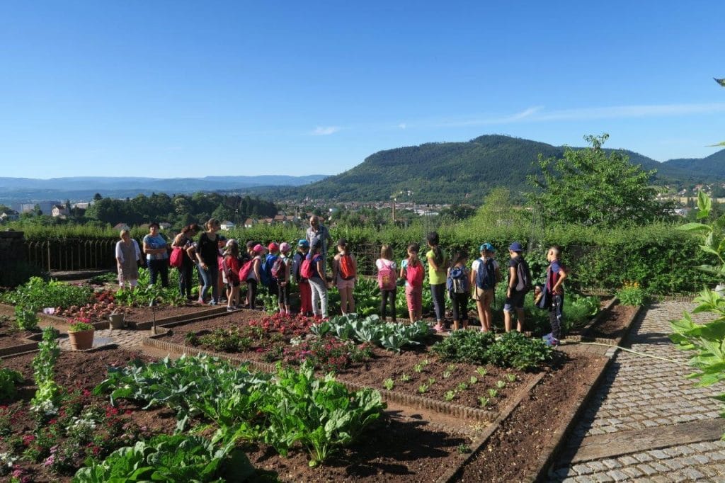 Photo de la classe dans le jardin